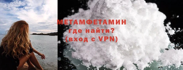 прущие грибы Верхний Тагил