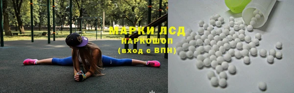 прущие грибы Верхний Тагил