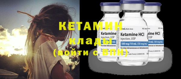прущие грибы Верхний Тагил