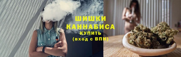 прущие грибы Верхний Тагил