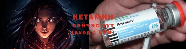 прущие грибы Верхний Тагил