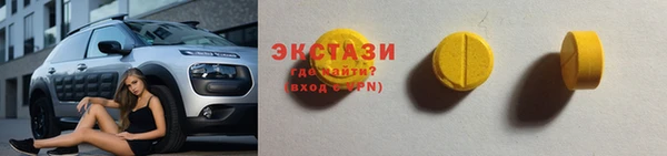 прущие грибы Верхний Тагил