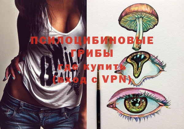 прущие грибы Верхний Тагил