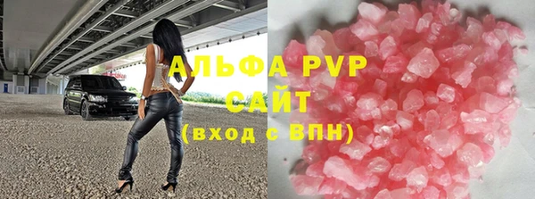 прущие грибы Верхний Тагил