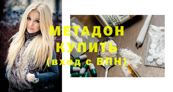 прущие грибы Верхний Тагил