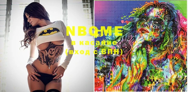 прущие грибы Верхний Тагил